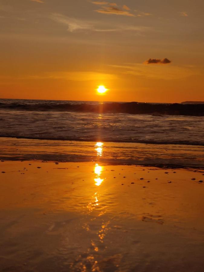 Cabinas Pura Vida B&B Tour Operator Drakes Bay エクステリア 写真