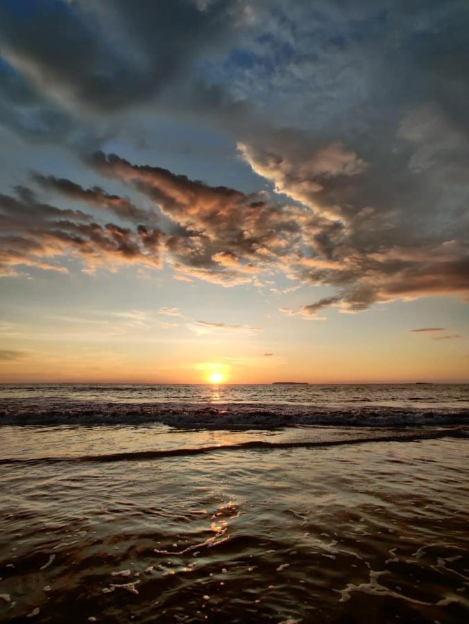 Cabinas Pura Vida B&B Tour Operator Drakes Bay エクステリア 写真