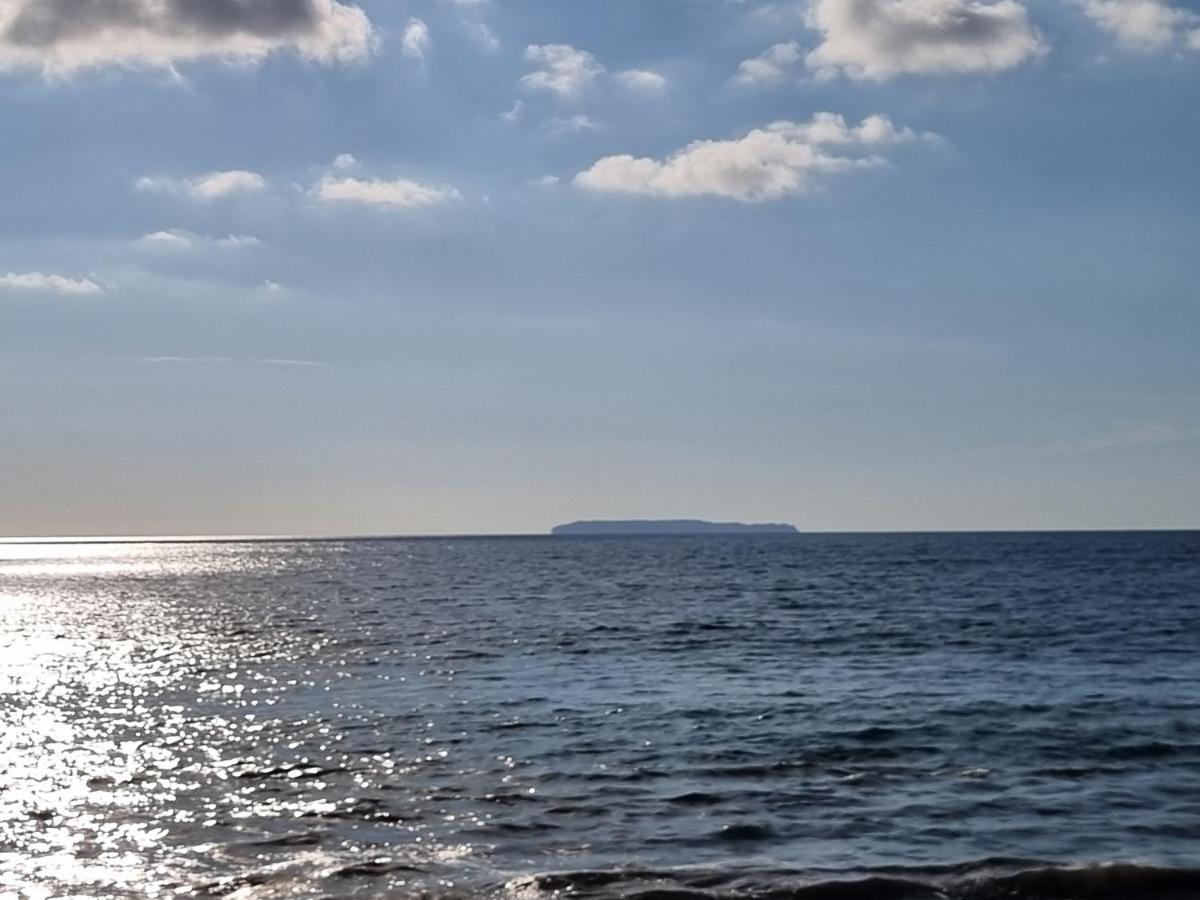 Cabinas Pura Vida B&B Tour Operator Drakes Bay エクステリア 写真