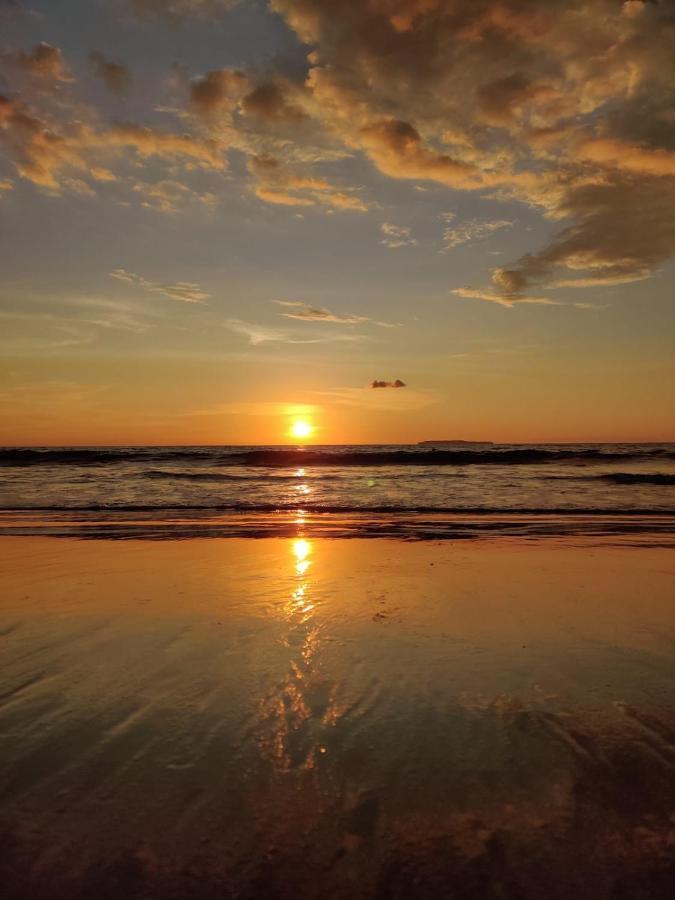 Cabinas Pura Vida B&B Tour Operator Drakes Bay エクステリア 写真