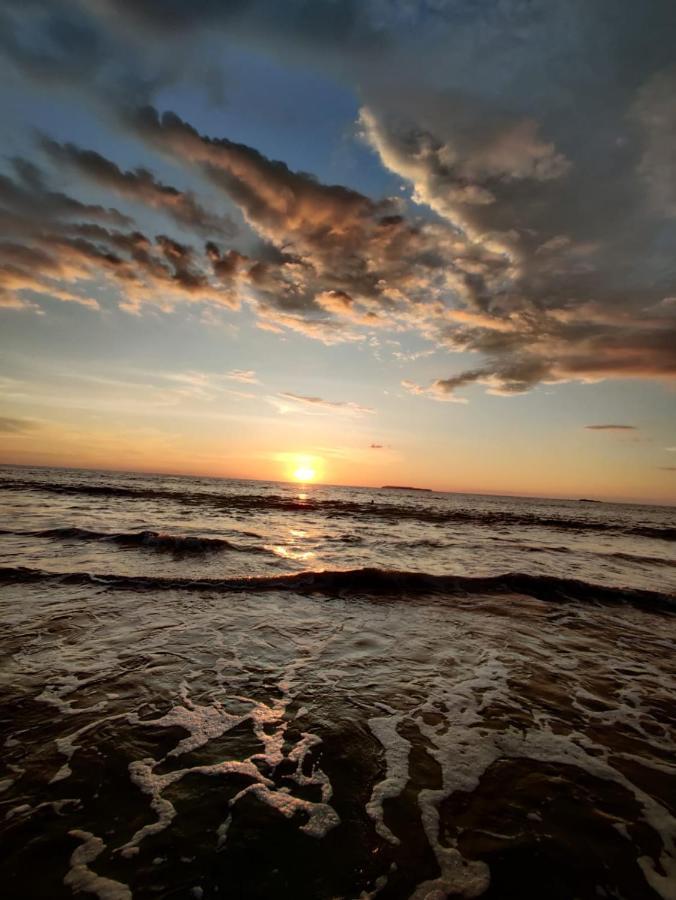 Cabinas Pura Vida B&B Tour Operator Drakes Bay エクステリア 写真