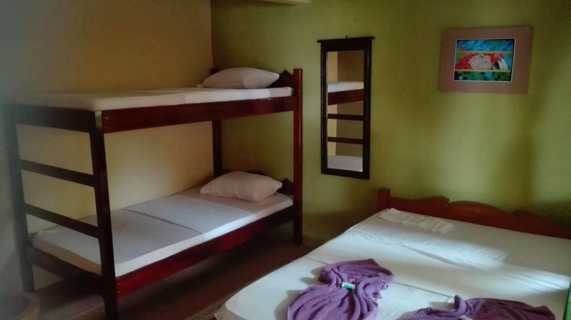 Cabinas Pura Vida B&B Tour Operator Drakes Bay エクステリア 写真