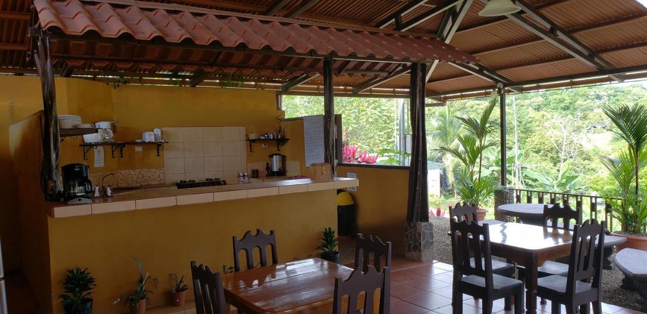 Cabinas Pura Vida B&B Tour Operator Drakes Bay エクステリア 写真