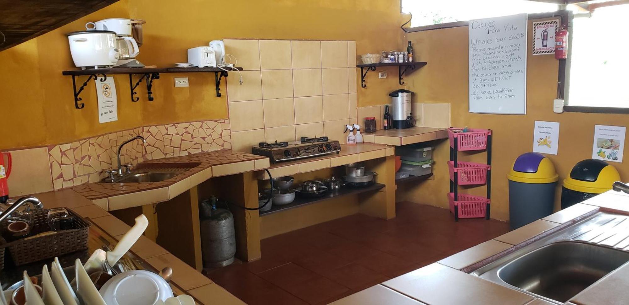 Cabinas Pura Vida B&B Tour Operator Drakes Bay エクステリア 写真