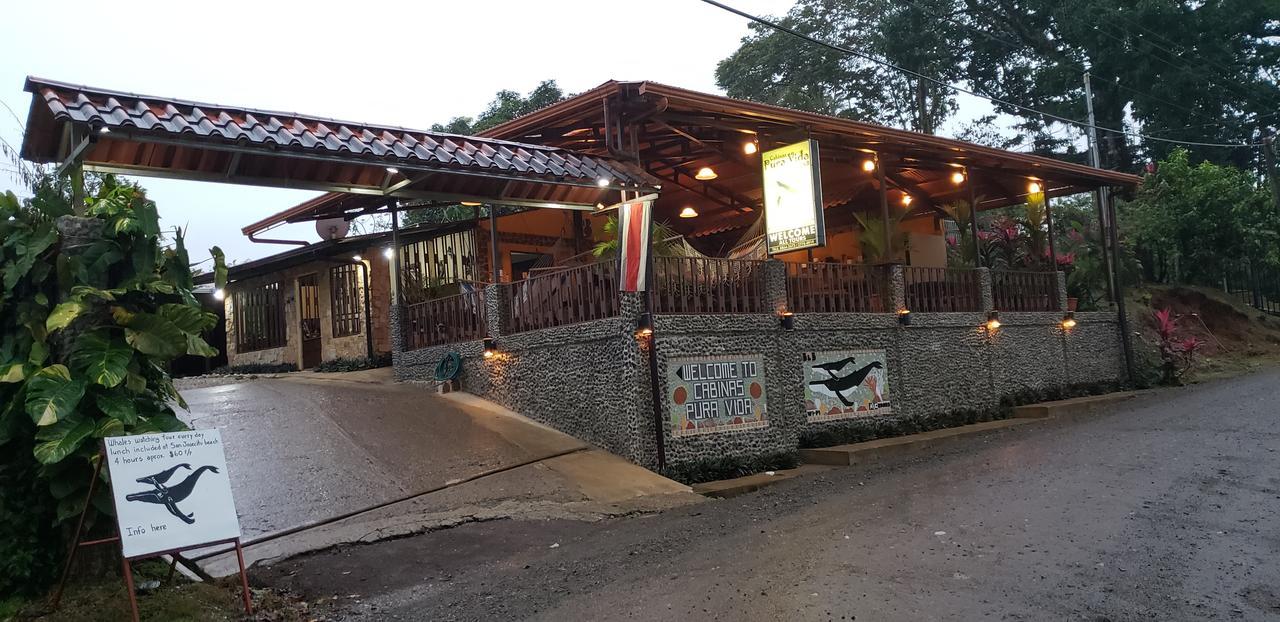 Cabinas Pura Vida B&B Tour Operator Drakes Bay エクステリア 写真
